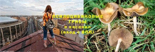 эйфоретик Наволоки