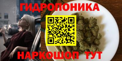 сатива Аргун