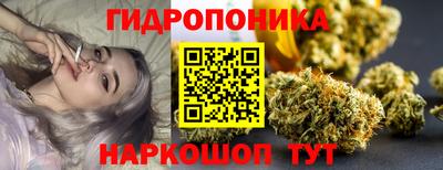 сатива Аргун