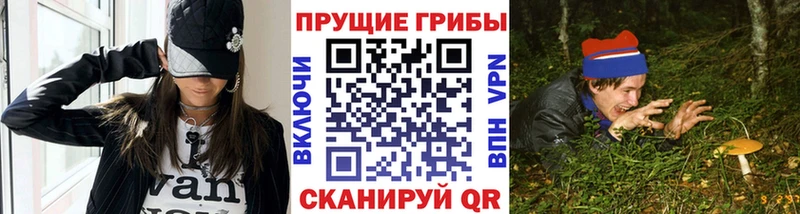 гидра ссылки  Фролово  Галлюциногенные грибы прущие грибы 