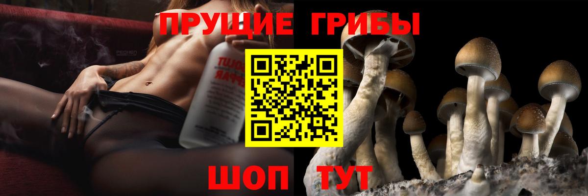 Галлюциногенные грибы ЛСД Фролово